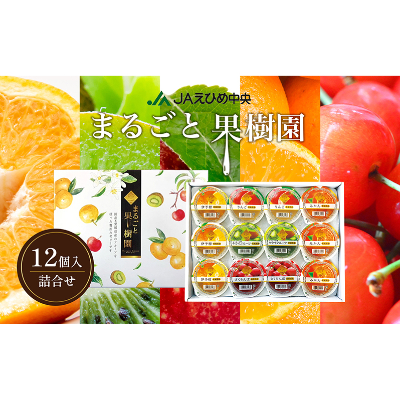 NO.12まるごと果樹園詰合せ 愛媛県東温市13000菓子・スイーツプリン・ゼリー