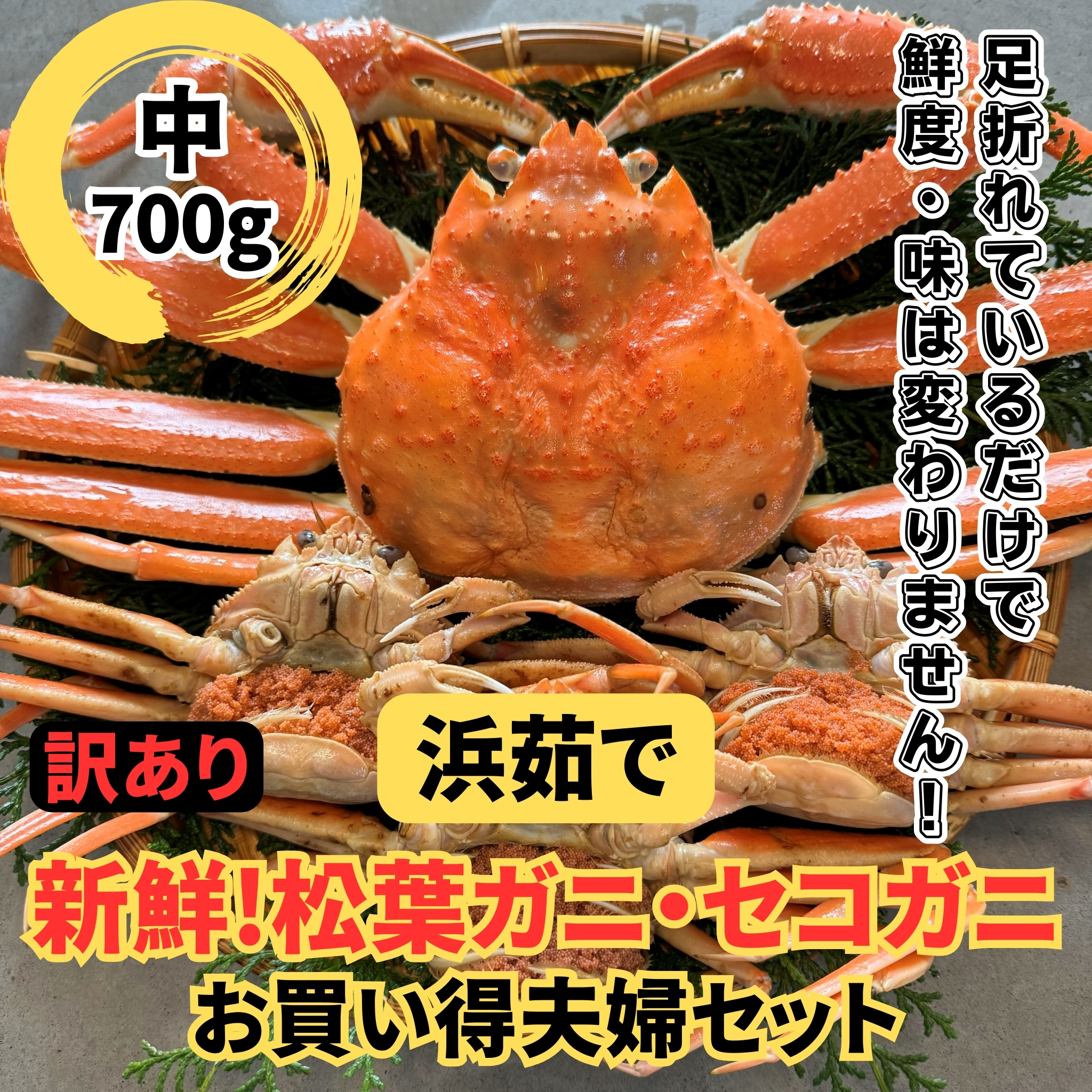 【訳あり】浜茹で!松葉ガニ・セコガニ(中)鳥取網代港 岩美 松葉がに ズワイガニ かに カニ 日本海【さかなや新鮮組】【22040】鳥取県岩美町62000魚介・海産物カニ