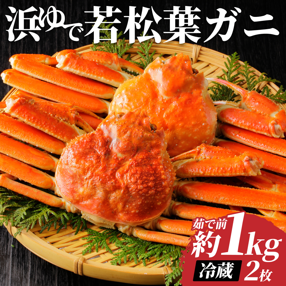 Y@ᏼtKjp䥂Ł@2Zbgy22042z挧38000ECYJj