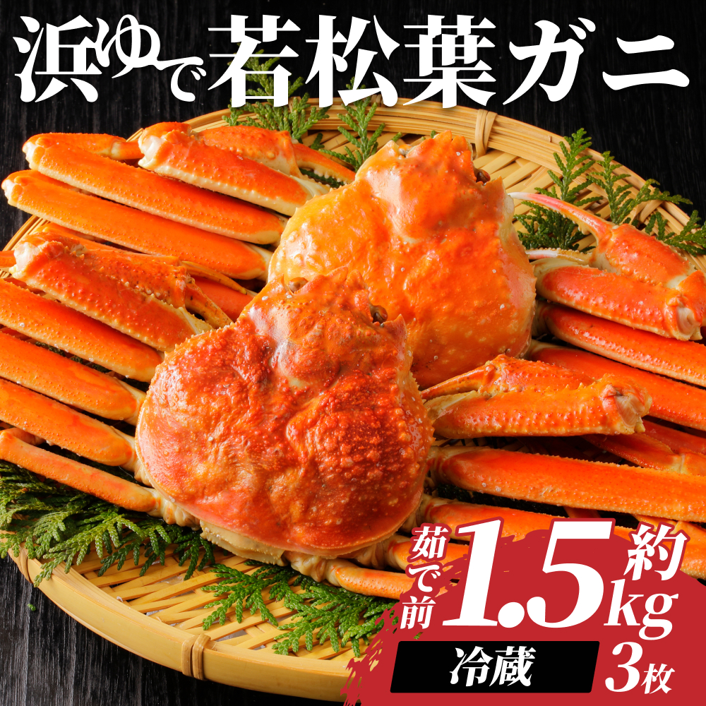 岩美町特産 若松葉ガニ姿茹で 3枚セット【22043】鳥取県岩美町51000魚介・海産物カニ