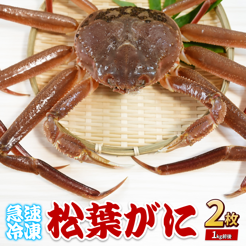 【先行予約】 年内発送 松葉がに(冷凍) 約500g 2枚|鳥取 岩美 かに 松葉ガニ 年末年始 冷凍 生 プロトン凍結 急速冷凍【22048】鳥取県岩美町38000魚介・海産物カニ