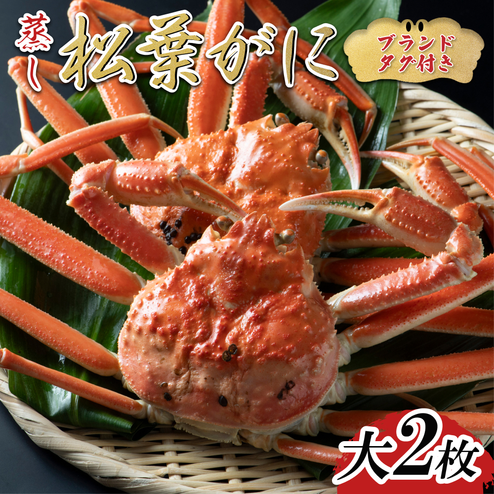 【先行予約】【蒸し】ブランドタグ付き松葉ガニ 大 2枚 2025年11月〜順次発送|鳥取 岩美 松葉がに かに【22051】鳥取県岩美町126000魚介・海産物カニ