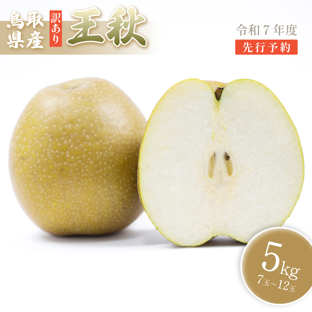 【先行予約】(訳あり)中野農園 梨 ”王秋梨” 5kg箱|鳥取 岩美 梨 なし ナシ 赤梨 果物 フルーツ【41018】鳥取県岩美町13000果物・フルーツりんご・梨