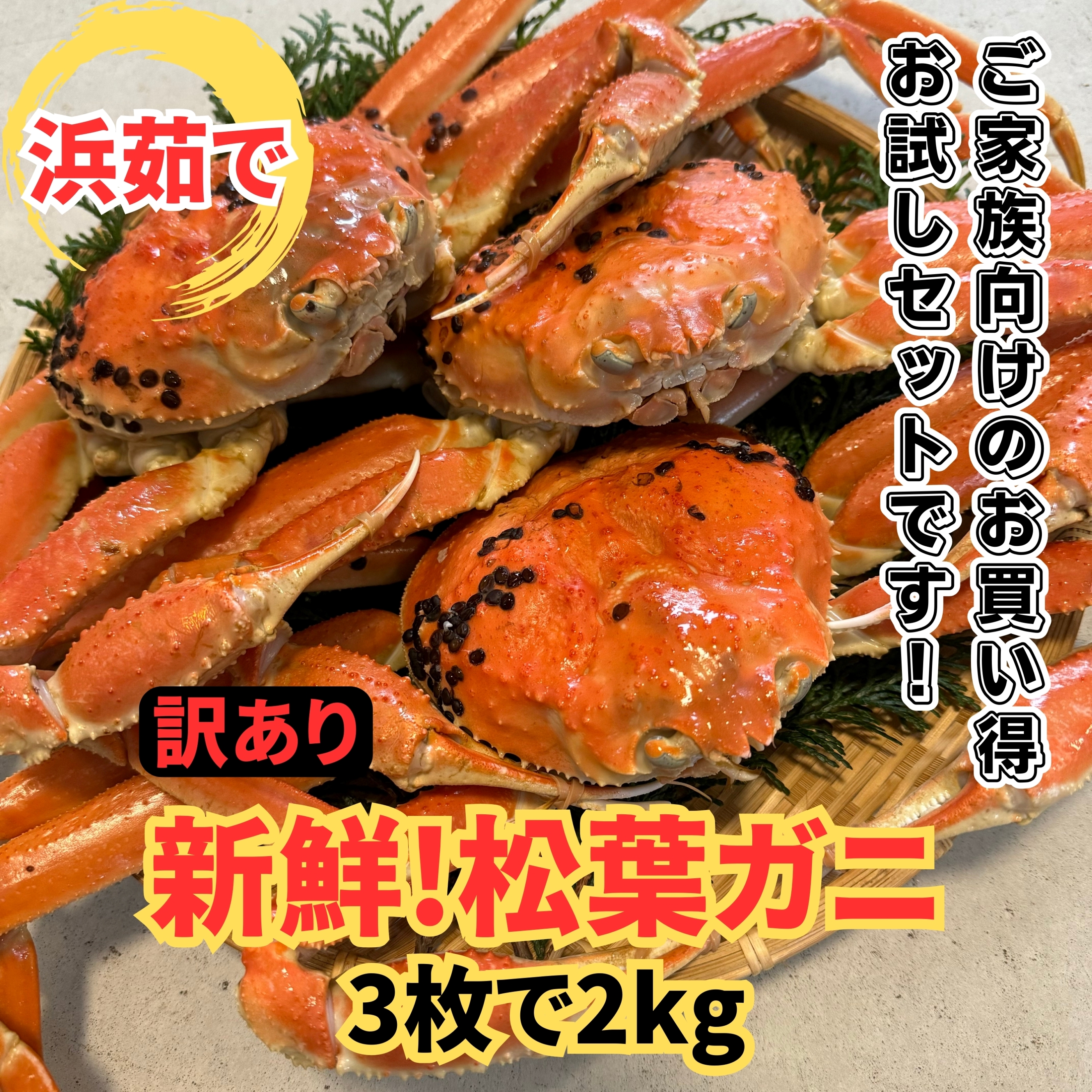 y22017zԑ`y󂠂zl䥂ŁItKj2kgZbgyȂVNgz挧105000ECYJj