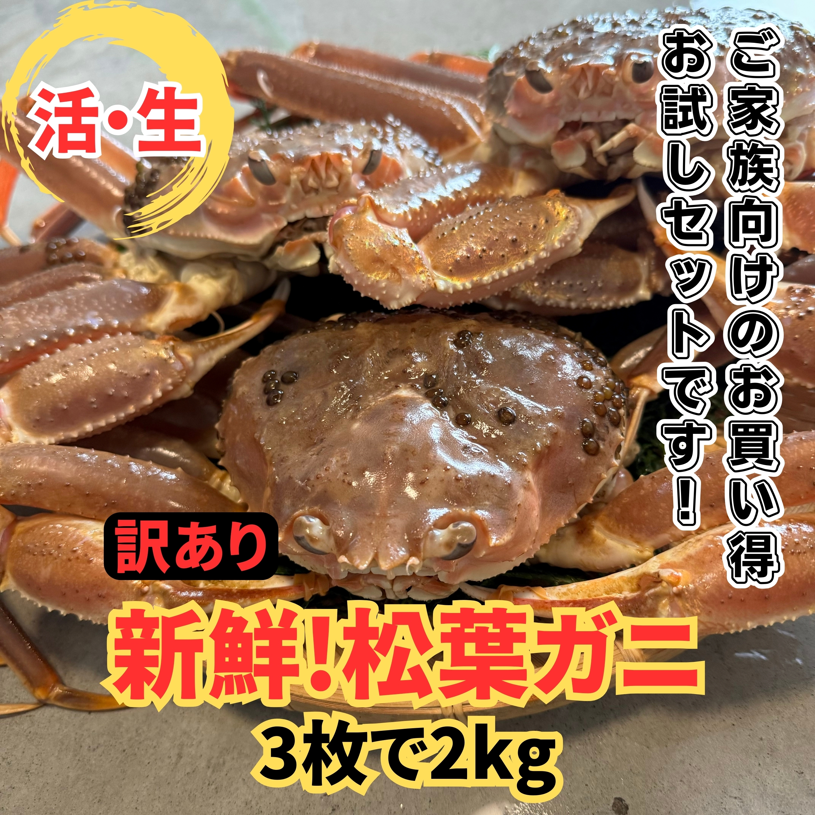 y22018zԑ`y󂠂zItKj2kgZbgyȂVNgz挧105000ECYJj