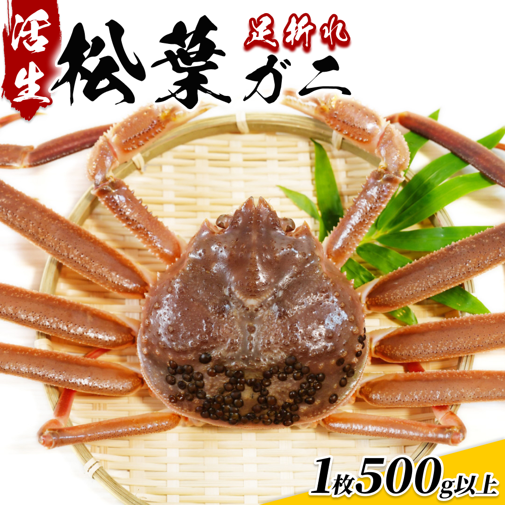 【22015】鳥取県網代産 松葉がに(足折れ1〜2本)500g以上(生)鳥取県岩美町60000魚介・海産物カニ
