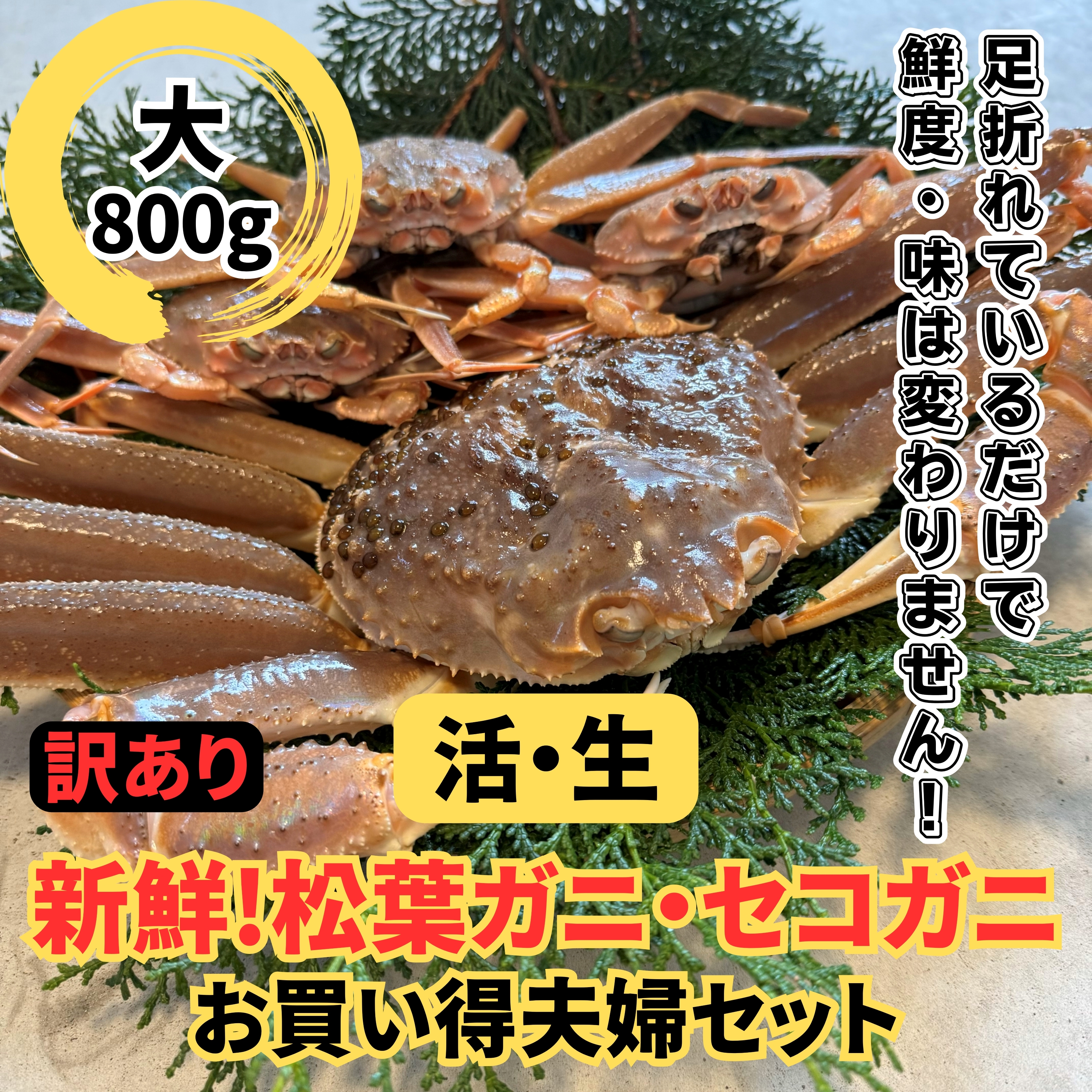 【22020】鳥取網代港【訳あり】活!松葉ガニ・セコガニセット(大)【さかなや新鮮組】鳥取県岩美町72000魚介・海産物カニ