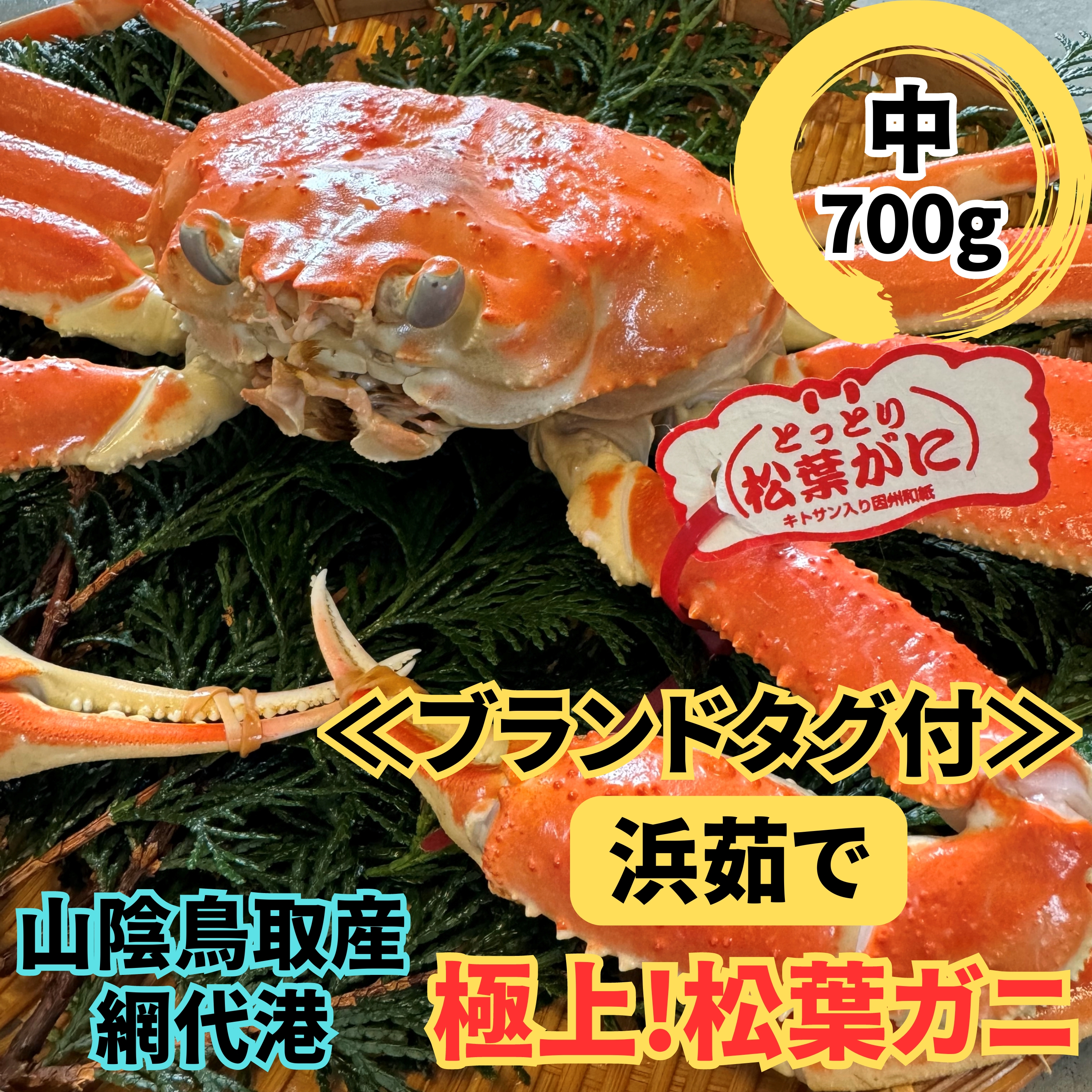 y22027zԑ`yuh^Otzl䥂ŁIɏ㏼tKjij700gyȂVNgz挧69000ECYJj