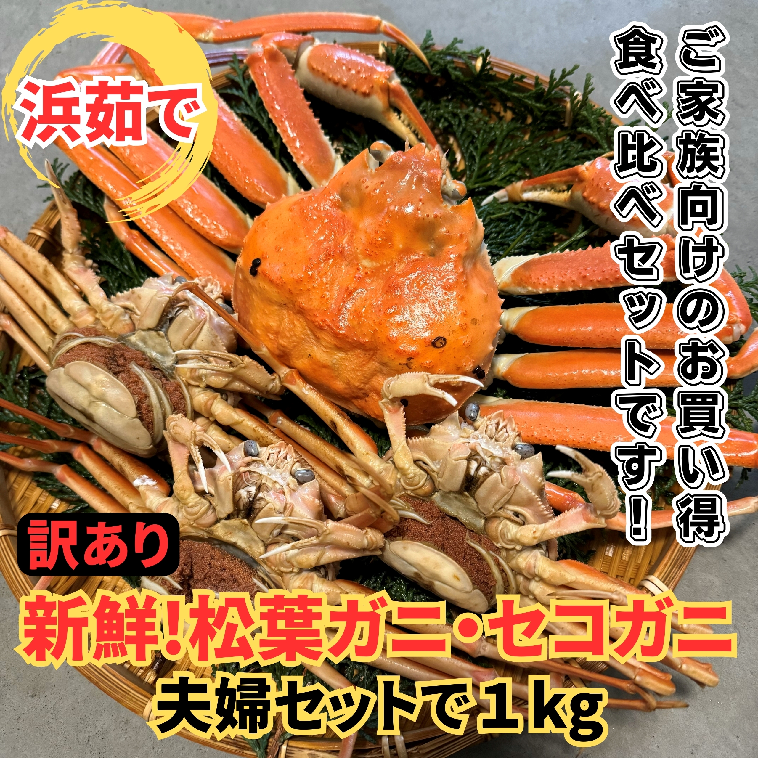 y22033zԑ`y󂠂zl䥂ŁItKjEZRKj1kgZbgyȂVNgz挧44000ECYJj