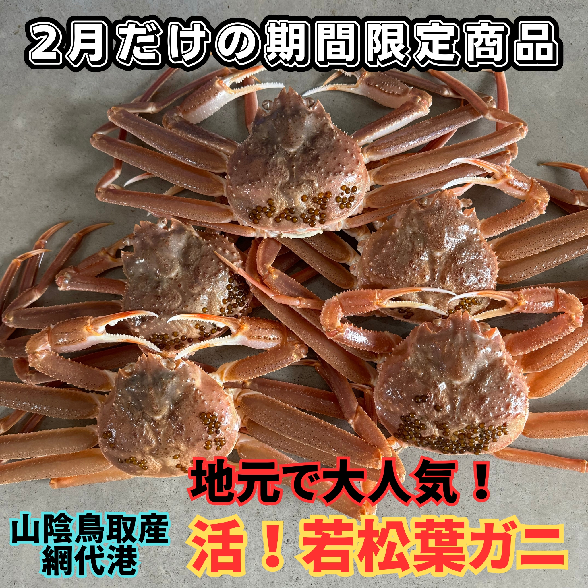【22036】鳥取網代港 地元で大人気 活!若松葉ガニ(中5枚)【さかなや新鮮組】鳥取県岩美町52000魚介・海産物カニ