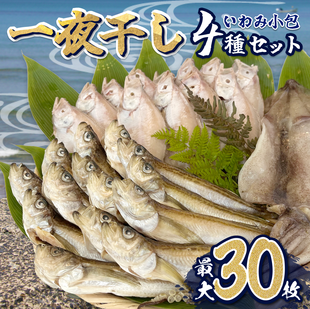 【24001】いわみ小包(海)<海産物一夜干し>鳥取県岩美町13000魚介・海産物干物