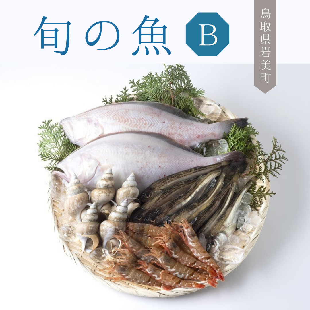 【21002】鳥取県岩美町 旬の魚おまかせセットB鳥取県岩美町13000魚介・海産物その他 魚介・海産物