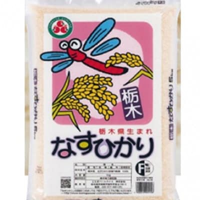 なすひかり 精米(2kg×2袋)【1291417】栃木県14000米・パン白米