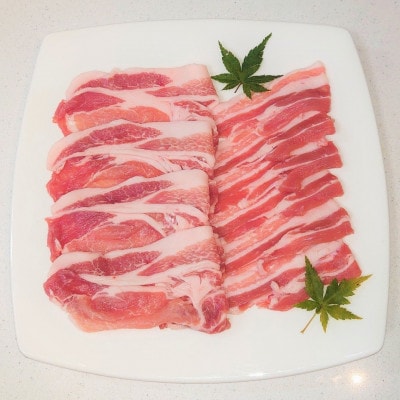 a؂Ԃ[XEo@ԂԃZbgyzsnFzy1358029zȖ،10000ؓ