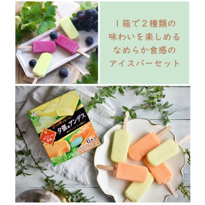 ぶどうの季節・メロンの季節 アイスバー食べ比べセット 各3箱【配送不可地域:離島】【1432316】栃木県11000菓子・スイーツアイス・ジェラート