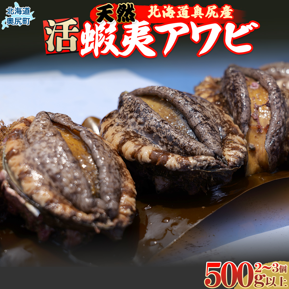 【2025年10月下旬以降発送】奥尻産天然アワビ500g以上 OKUF012北海道奥尻町19000魚介・海産物