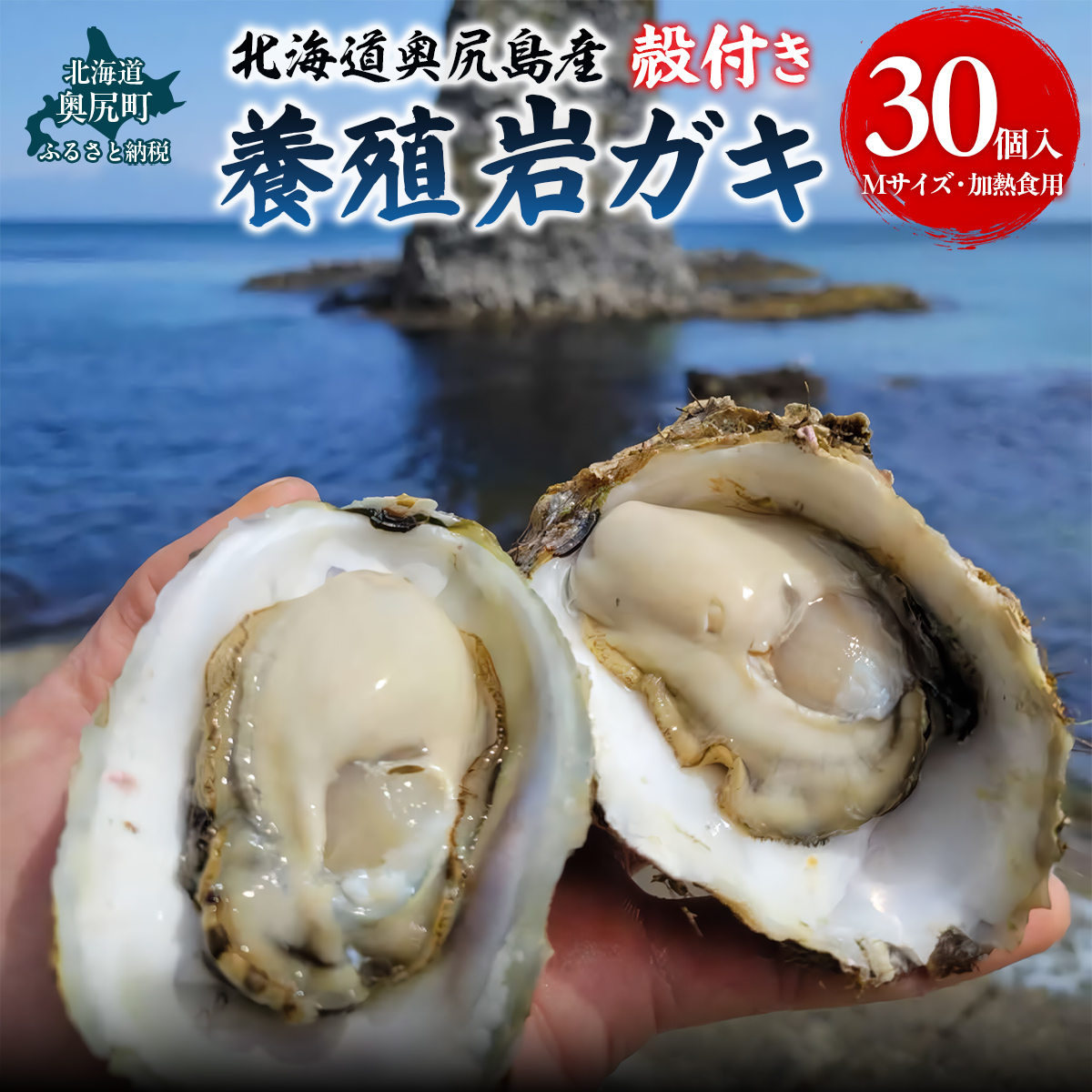 【先行予約 2025年7月20日より発送】奥尻島産養殖岩ガキ【Mサイズ】殻付き 30個入り(加熱食用)〜豊かな海が育てた海の宝石〜 OKUY003北海道奥尻町40000魚介・海産物