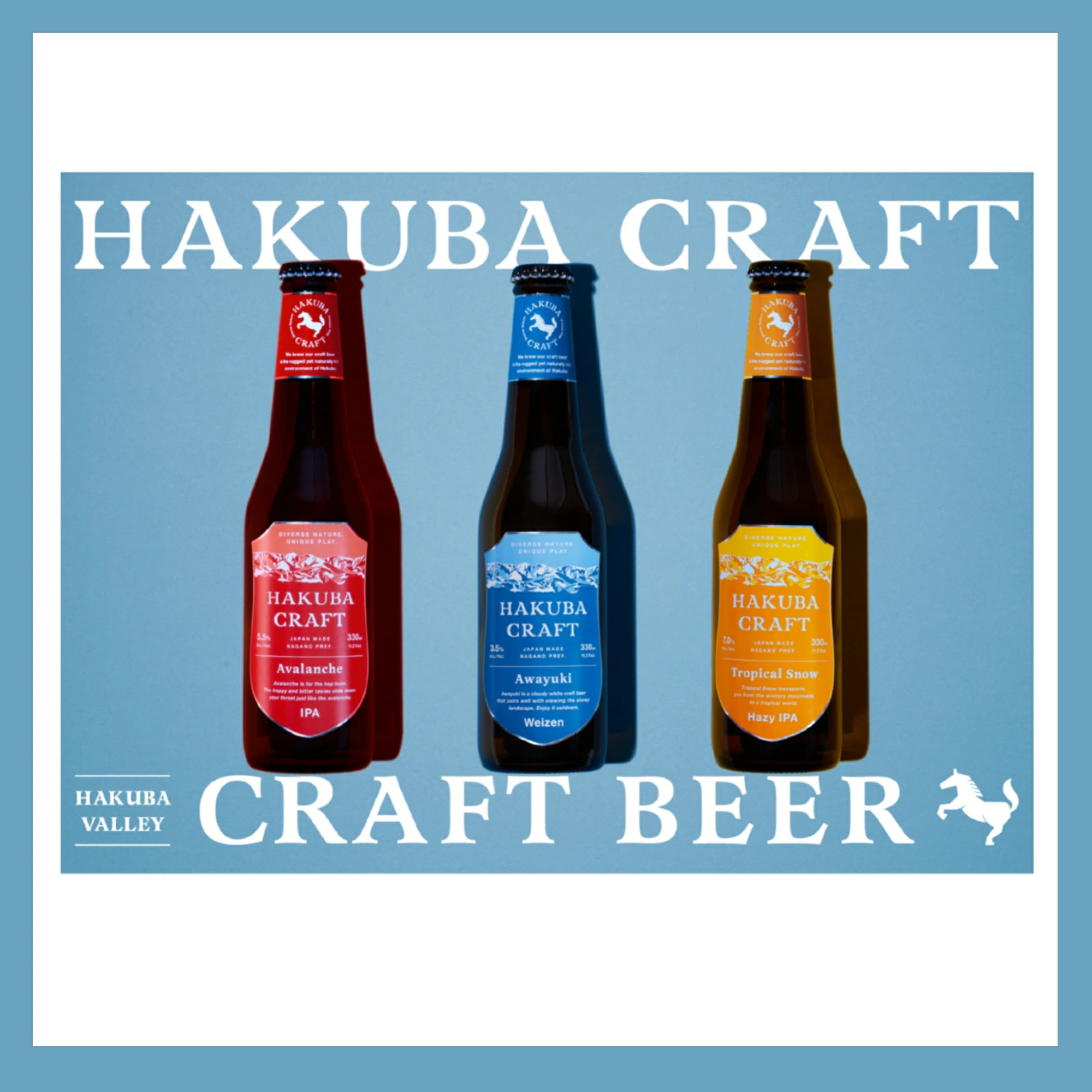 クラフトビール「HAKUBA CRAFT」330ml×6本セット【E0530382】長野県白馬村19000酒・アルコール