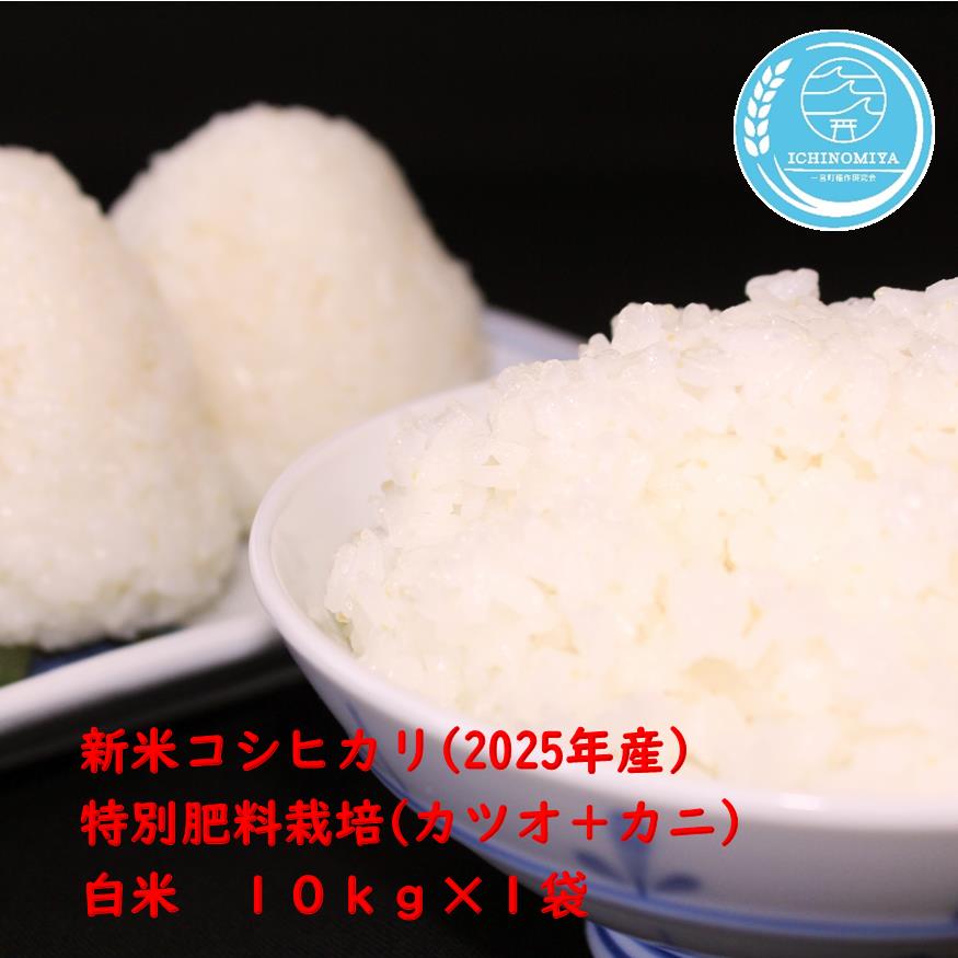 t{Yʔ엿͔|wJcI{JjxRVqJi10kgjߘaVNxYāy2025Nz@s\t{17000āEp