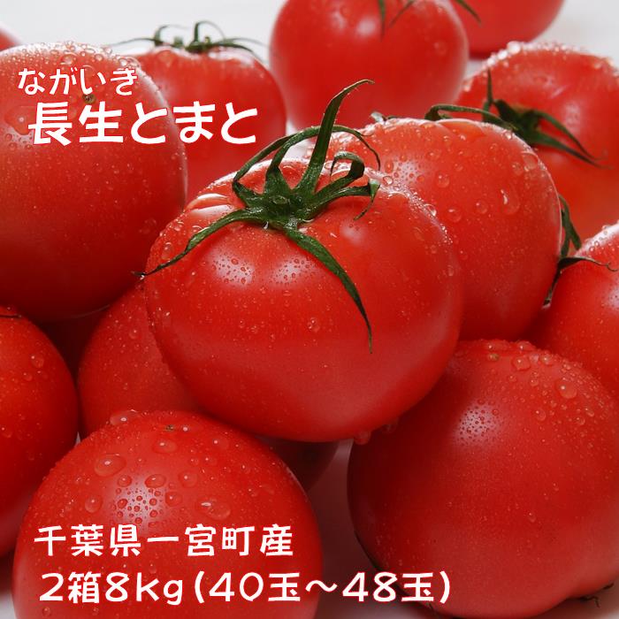 iȂjƂ܂2i40`48i8kgjj@s\t{18000؁Êg}g