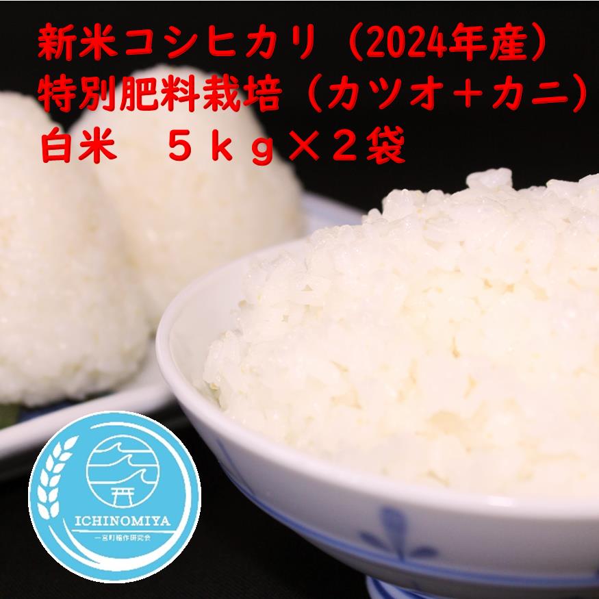 ys\zt{Yʔ엿͔|wJcI{JjxRVqJi10kgjߘaUNxYāy2024Nzt{14000āEp