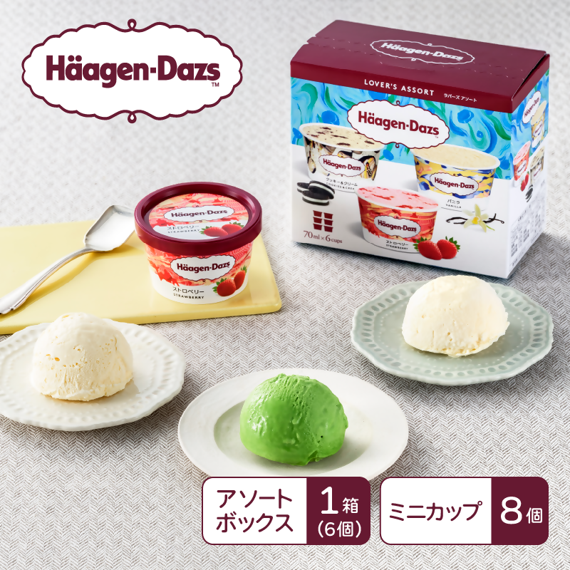 ハーゲンダッツ ポピュラーセット群馬県高崎市13000菓子・スイーツ