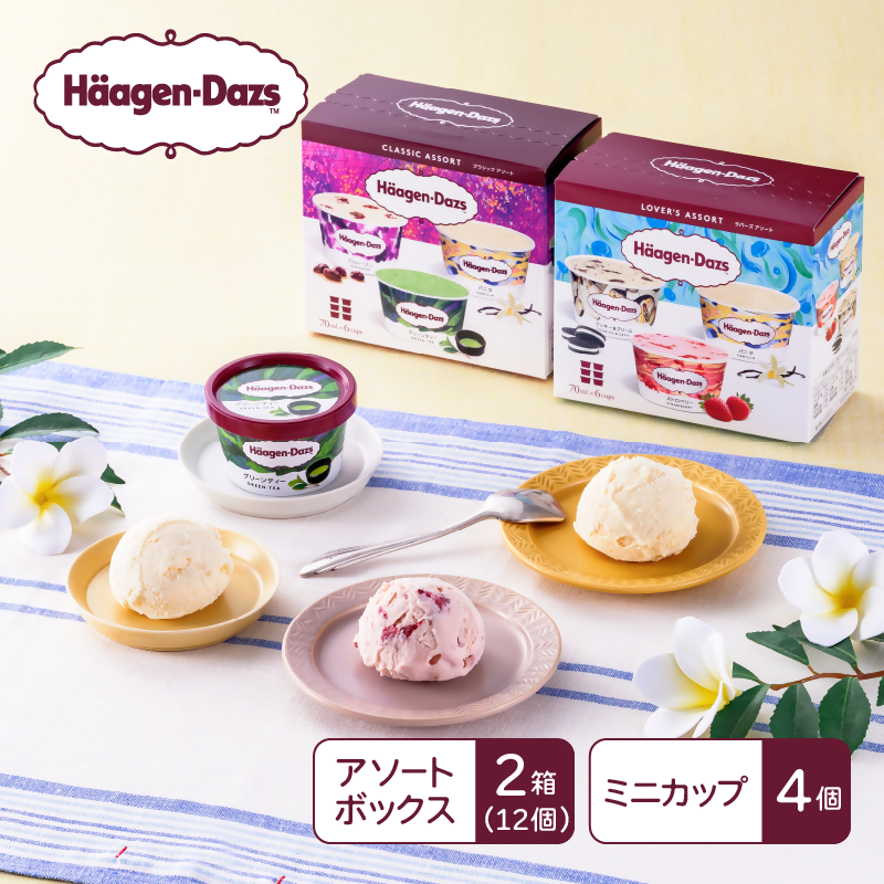 ハーゲンダッツ マルチパックセット群馬県高崎市13000菓子・スイーツ