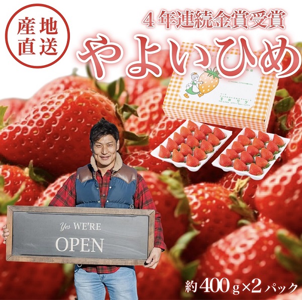 䂢̂i悢Ђ߁j@Ti嗱400g×2pbN^1jQns50000ʕEt[c