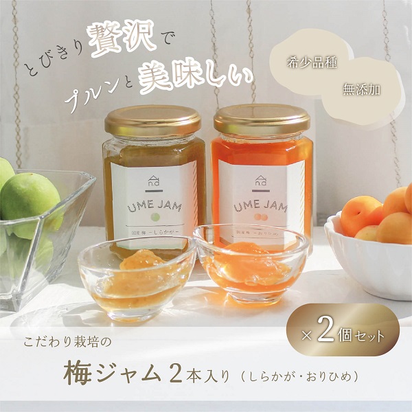 《希少品種で無添加》こだわり栽培の梅ジャム4本セット(しらかが・おりひめ各2本)群馬県高崎市11000果物・フルーツ