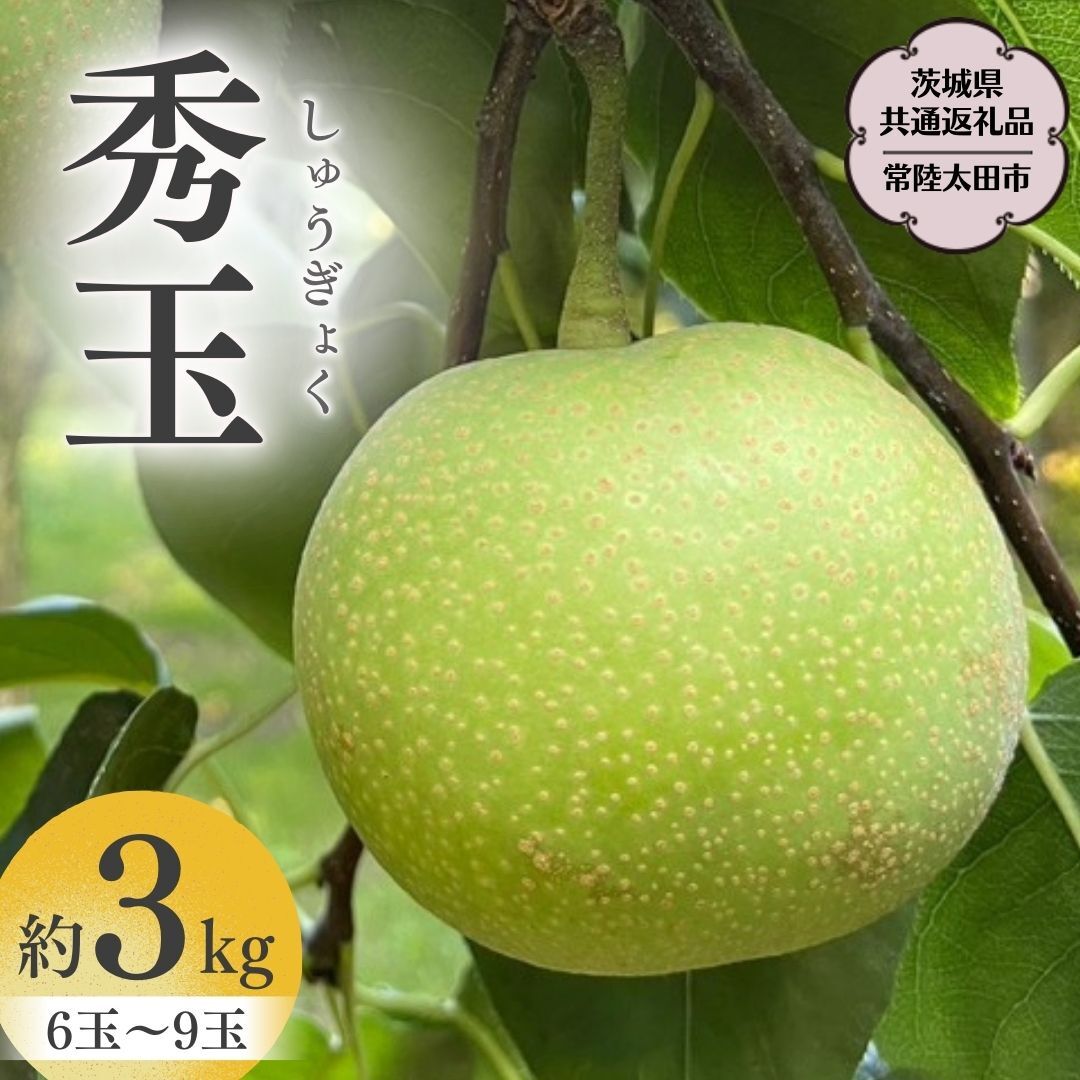 y2025N9{Jnz錧Y w  x G  3kg 6 ` 9 y錧ʕԗi^헤cszORʎ _ƒ ORʎ _ƒ t[c  Â    Mtg