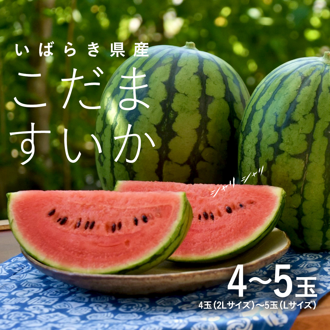 y2025N5{甭Jnz   4ʁ`5 ʂ ܂  XCJ Z ʕ t[c  _ƒ Yn [BQ015sa]錧s20000ʕEt[cEX
