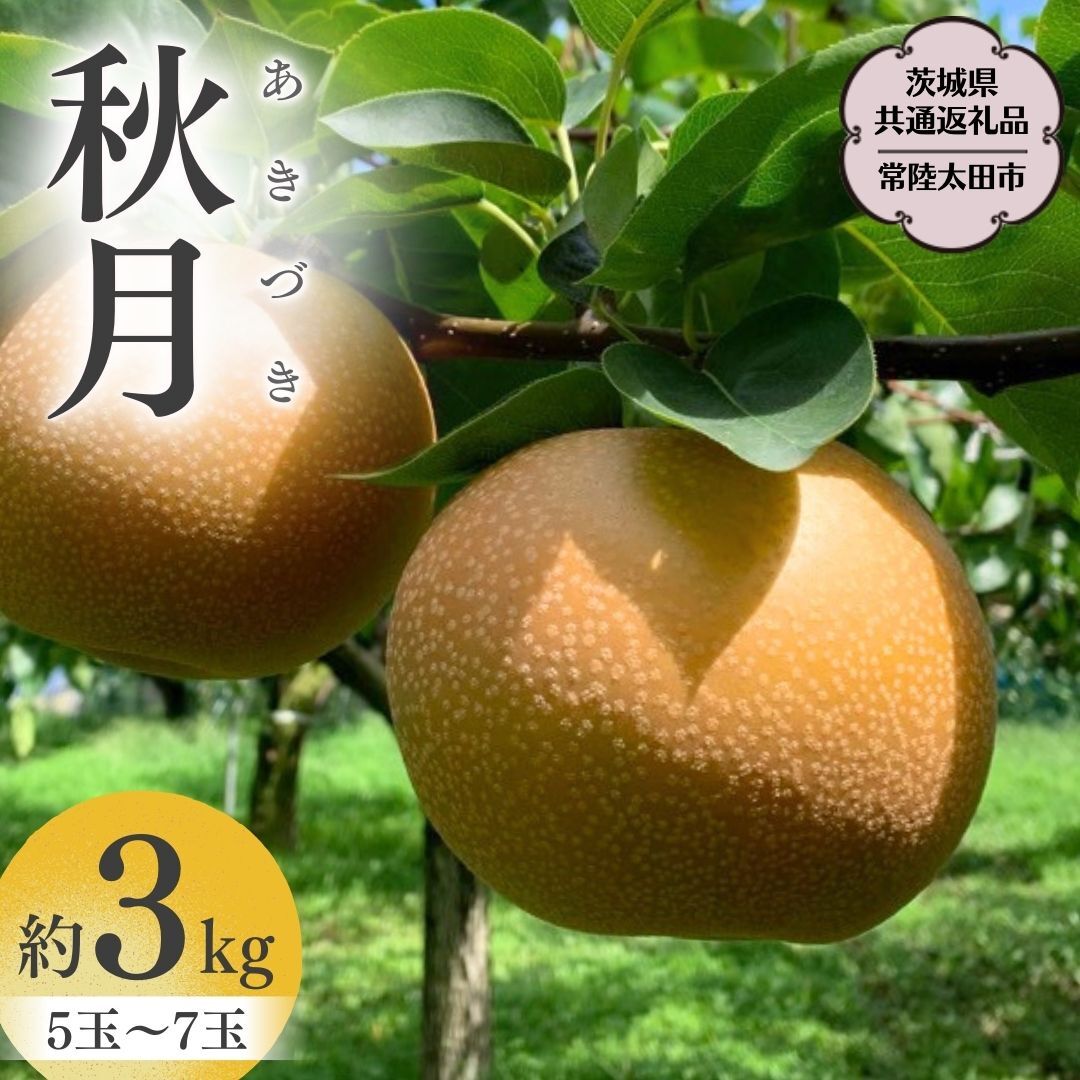 y2025N9{Jnz 錧Y  u H v  3kg 5 ` 7 y錧ʕԗi^헤csz ORʎ _ƒ ORʎ _ƒ t[c  Â    Mtg 