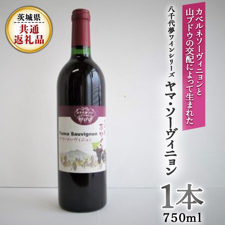 㖲CV[Y@}E\[Bj(ԃC)P{(錧ʕԗi 㒬) Y C ԃC [BW002sa]錧s10000EAR[C