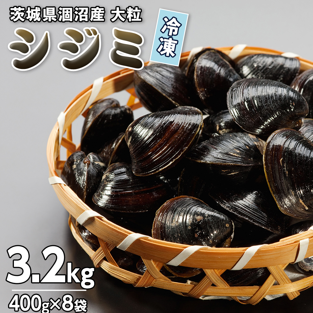 錧 Y 嗱 Ⓚ VW~ 3.2kgi400g×8܁j }gVW~  嗱 Ⓚ X` X[v L L Ij` RnN_  [EL002sa]錧s22000ECYL