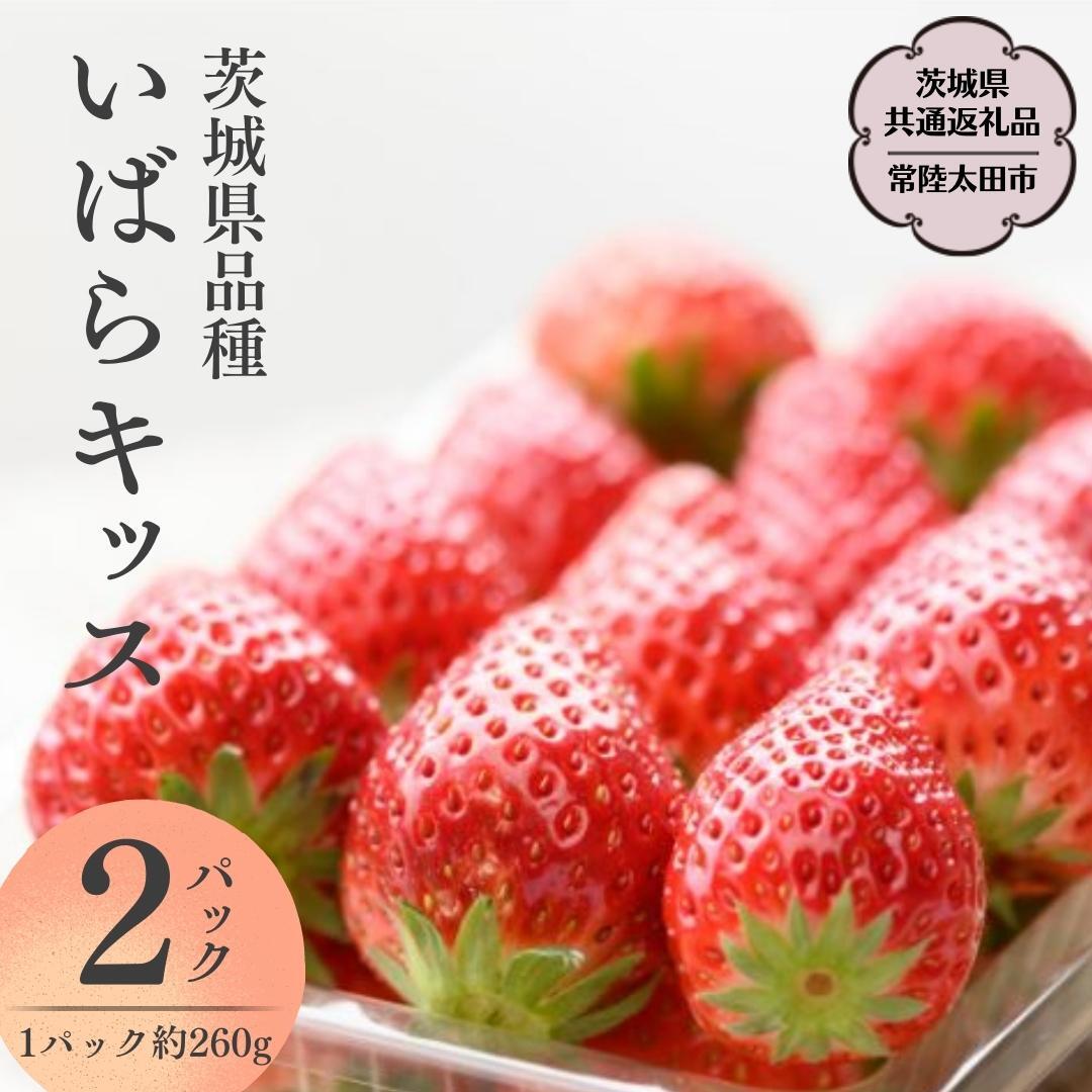 y 2026N s\ z΂LbX(2pbN×1)i錧ʕԗi^헤csj 錧i 2026N1{Jn t[c  C`S  VN ̂ 錧 ORFRUITFARM [DY002sa]