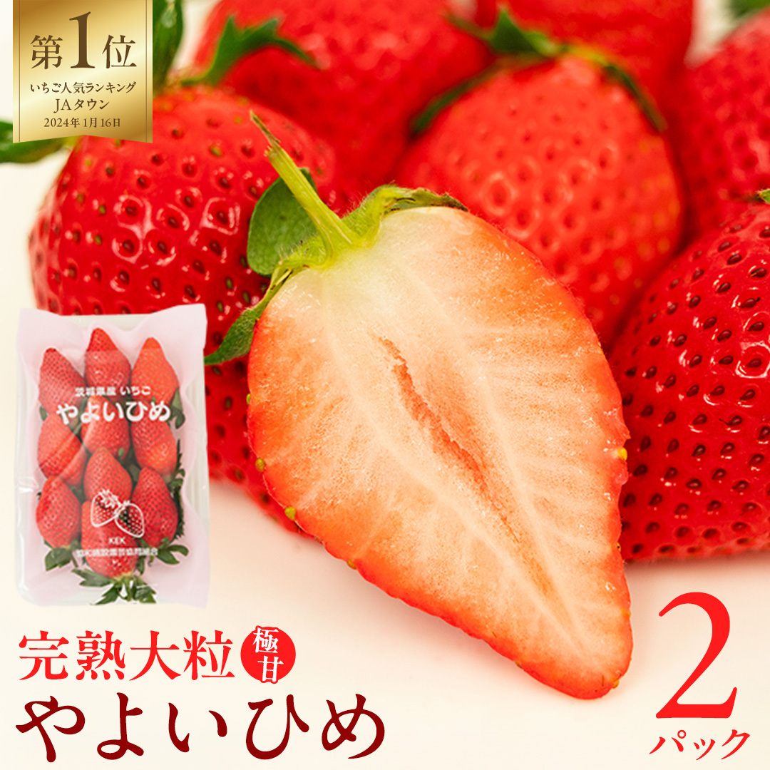 y 2026N1{Jn z n 悢Ђ 260g×2P Y  C`S  ʕ t[c [BC026sa]錧s10000ʕEt[c