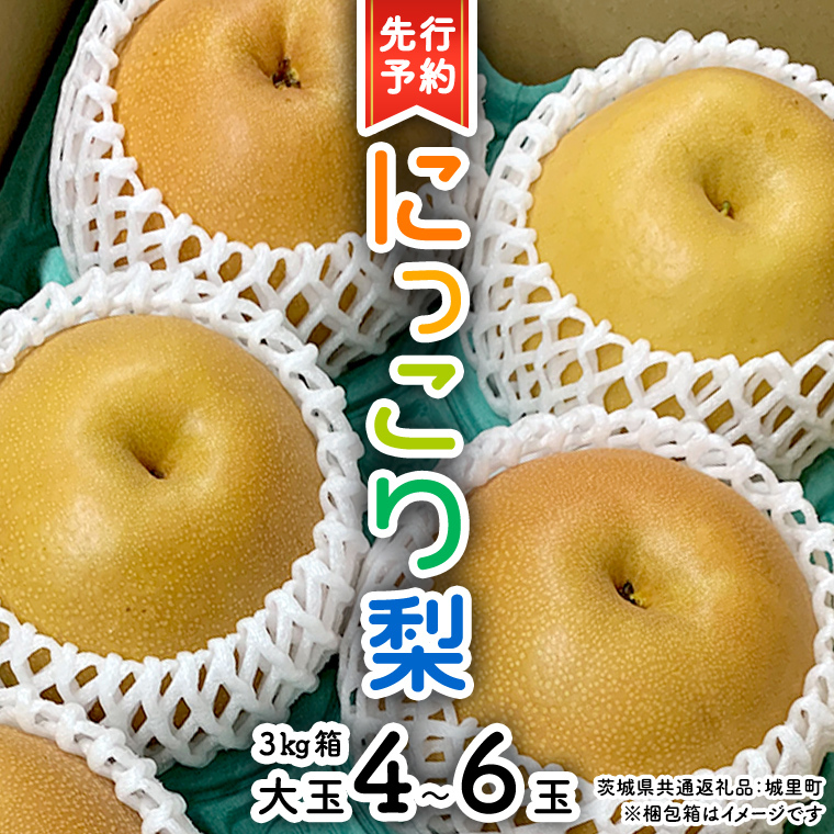 y s\ z ɂ藜 3kg   4ʁ`6 ( 錧ʕԗi 闢 ) 2025N11{甭Jn t[c Â  NX}X     [CO001sa]錧s11000ʕ