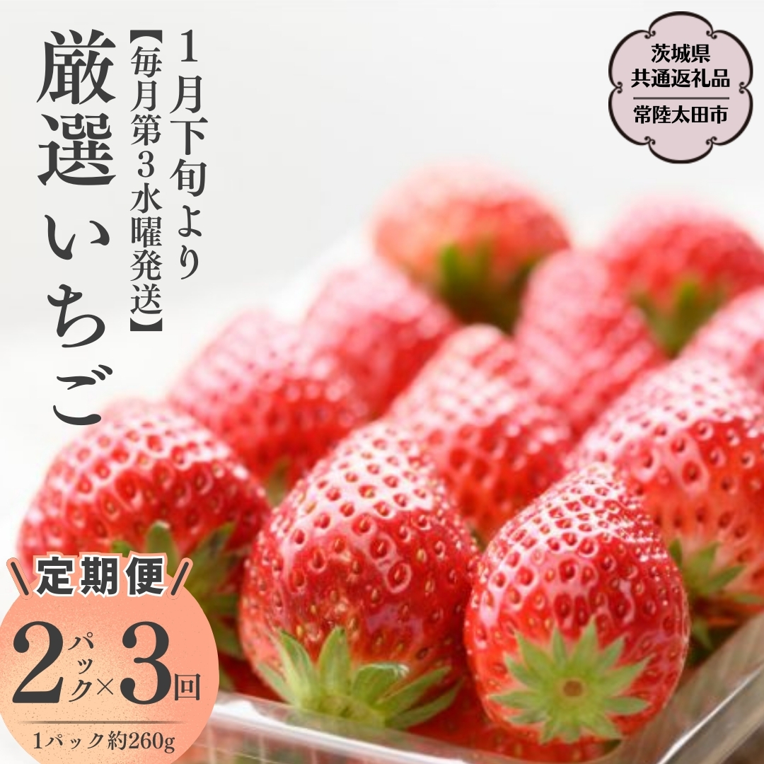 y2026N s\zyR[XzI 2pbN×3y3jzi錧ʕԗi^헤csj 2026N1Jn t[c  C`S  VN ̂ 錧 ORFRUITFARM [