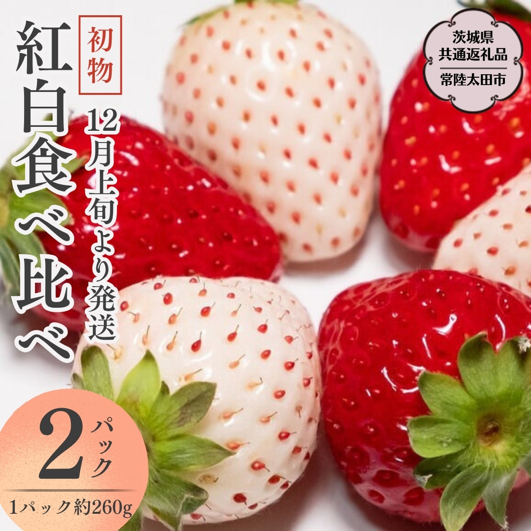 y s\ z g Hה  i 2pbN × 1 ) i錧ʕԗi^헤csj 2025N12{Jn t[c  C`S  VN ̂ 錧 ORFRUITFARM [DY017sa]