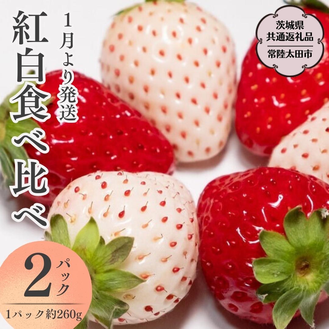 y 2026N s\ zg Hה׃Zbg i 2pbN × 1 ) i錧ʕԗi^헤csj2026N1{Jn t[c  C`S  VN ̂ 錧 ORFRUITFARM [DY019