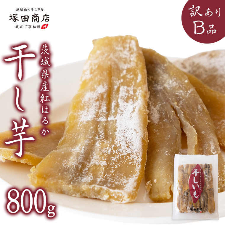 y ˓cX z錧Y g͂邩  y󂠂z ai 800g 󂠂 Y  ܂  َq  fU[g aَq  C H꒼ }cR̒mȂE [EE008sa]錧