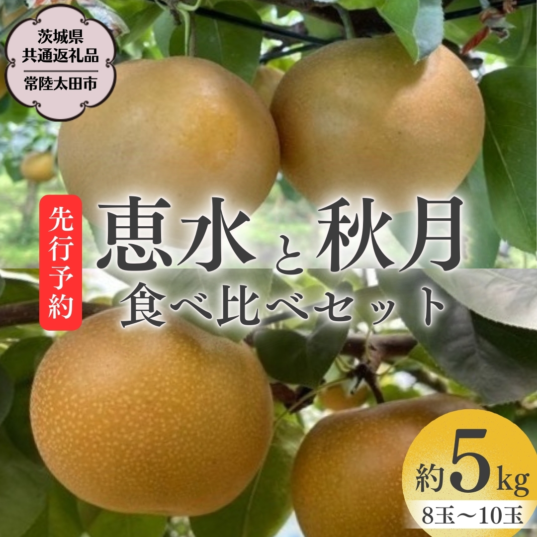 【 2025年 先行予約 】 厳選 2種!恵水 と 秋月 の 食べ比べセット 約5kg 8玉〜10玉 【 茨城県共通返礼品 / 常陸太田市 】 2025年9月中旬発送 桧山果樹園 フルーツ 甘い 直送 茨城 限定 ギフト 梨