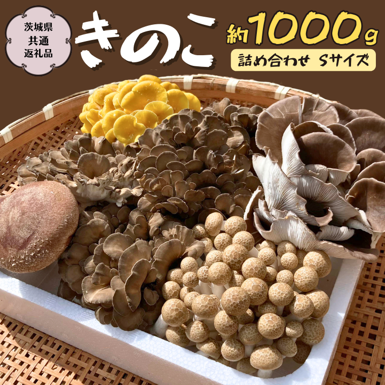 ̂  lߍ킹 STCY  1000g y錧ʕԗi 闢z LmR  ё   ԂȂ߂  [CX001sa]錧s11000؁Ê̂
