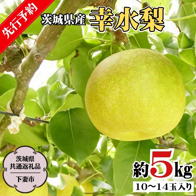 y s\ z錧Y K 5kg 10ʁ`14ʓ  (錧ʕԗi ^Ȏsj( 2024N7{Jn )   ʌ Ȃ iV t[c ʕ { Yn JA 푍Ђ [DF001sa]錧