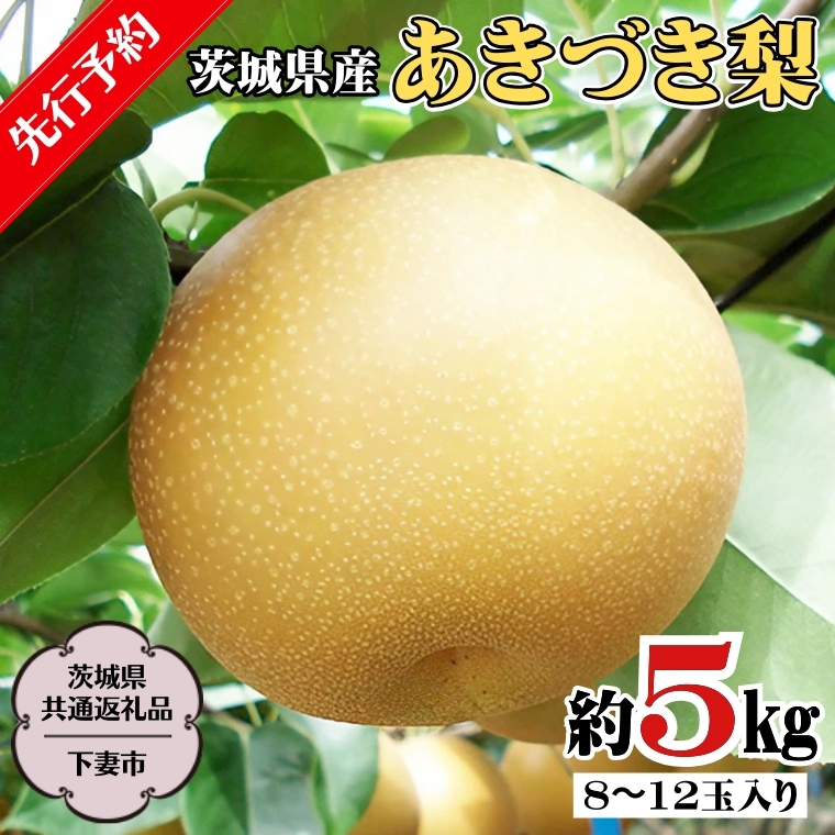 y s\ z 錧Y Â  5kg 8ʁ`12ʓ  (錧ʕԗi^Ȏsj  ( 2024N8{Jn )   ʌ Ȃ iV t[c ʕ { Yn JA 푍Ђ  [DF003sa]