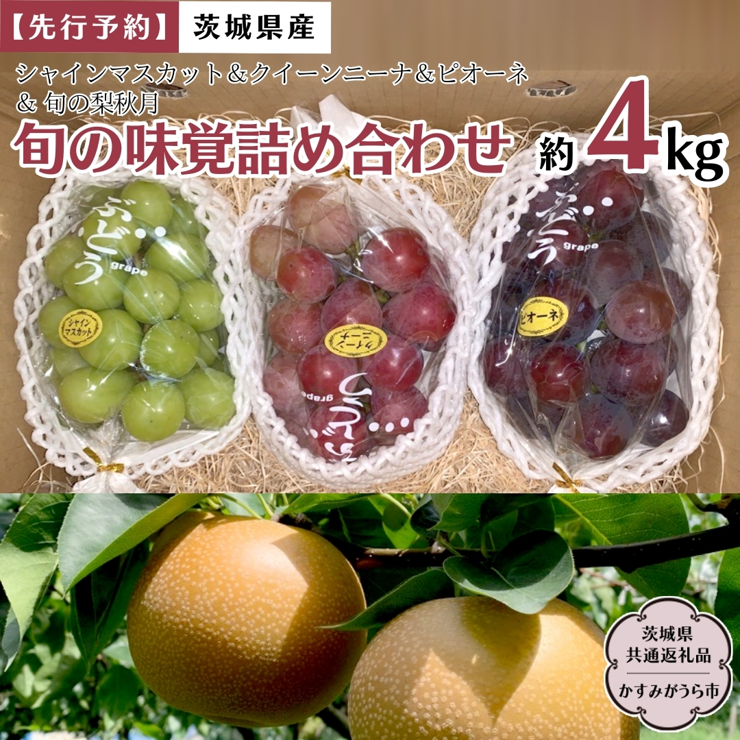 【 先行予約 】 茨城県産【 旬の味覚 】シャインマスカット クイーンニーナ と ピオーネ と 旬 の梨 秋月の詰め合わせ 約4kg (茨城県共通返礼品 かすみがうら市)  (2025年9月上旬発送開始) 久保