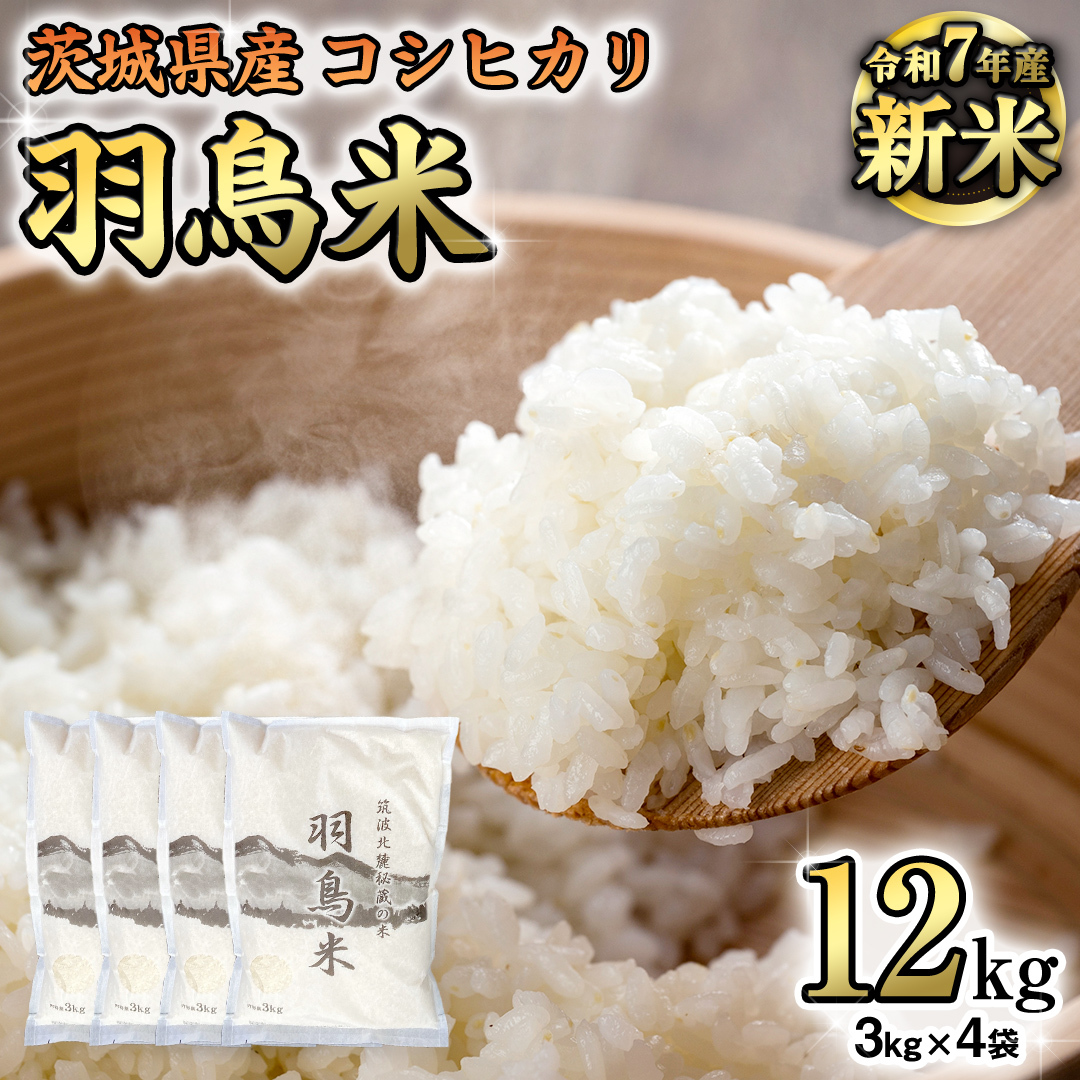 s ߘa7NY s\ t RVqJ u̕ Hāv 12kg (3kg × 4) }gk[鑠  ͂  R  Y 錧 s  Ԍ ʌ  [AX002sa]錧s31