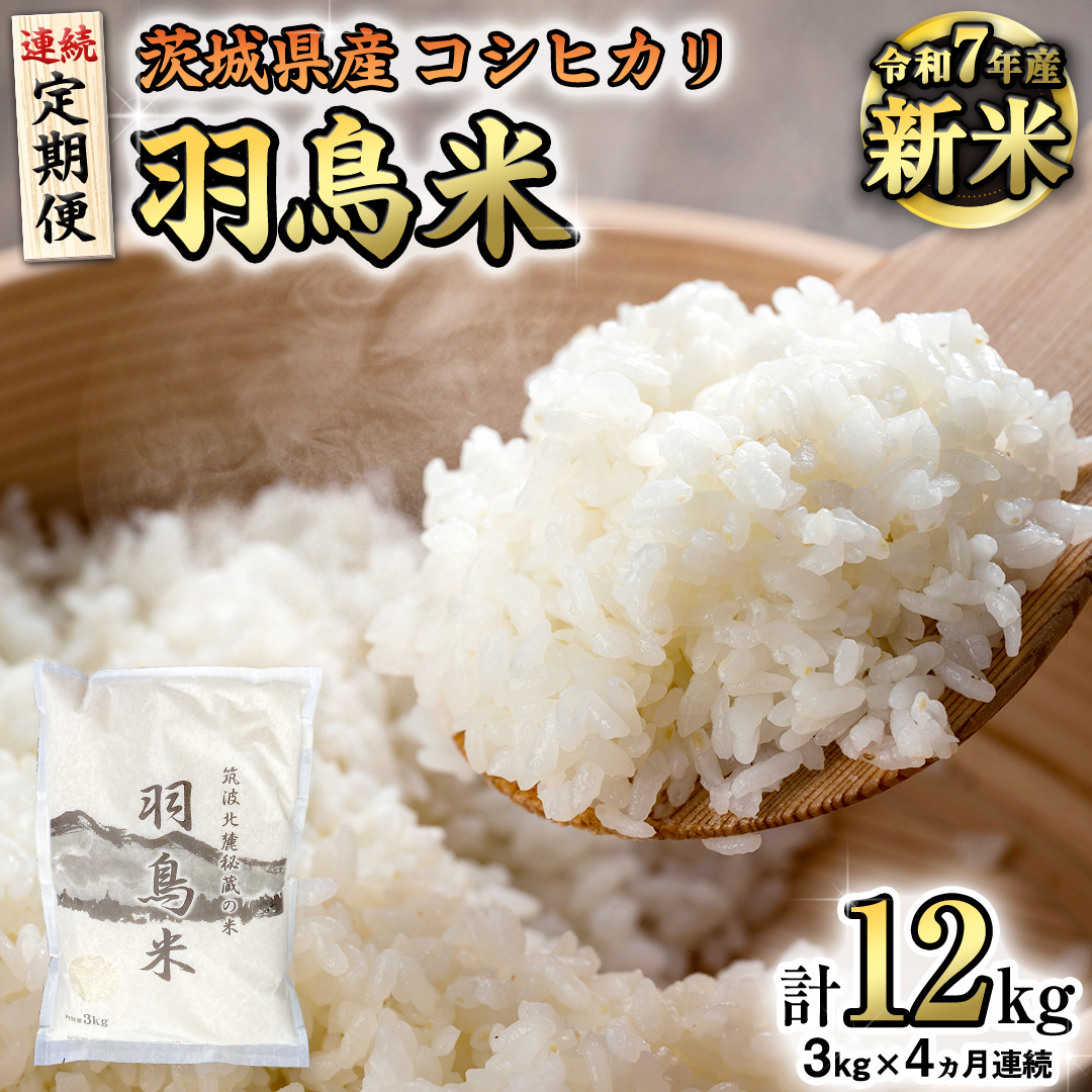 sS4 ցts ߘa7NY s\ t RVqJ u̕ Hāv v 12kg (3kg × 4) }gk[鑠  ͂  R  Y 錧 s  Ԍ ʌ  [A