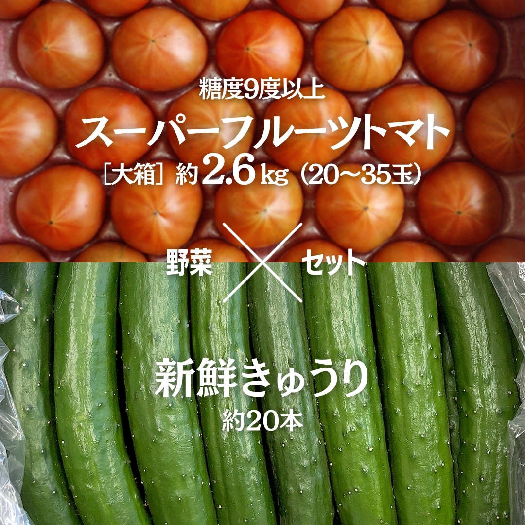 糖度9度以上 トマト 【 2025年収穫分 先行予約 】 スーパーフルーツトマト 大箱 約2.6kg (20〜35玉)糖度9度以上 & 新鮮 きゅうり 約20本 野菜セット 2025年2月上旬発送開始 とまと トマト 胡瓜