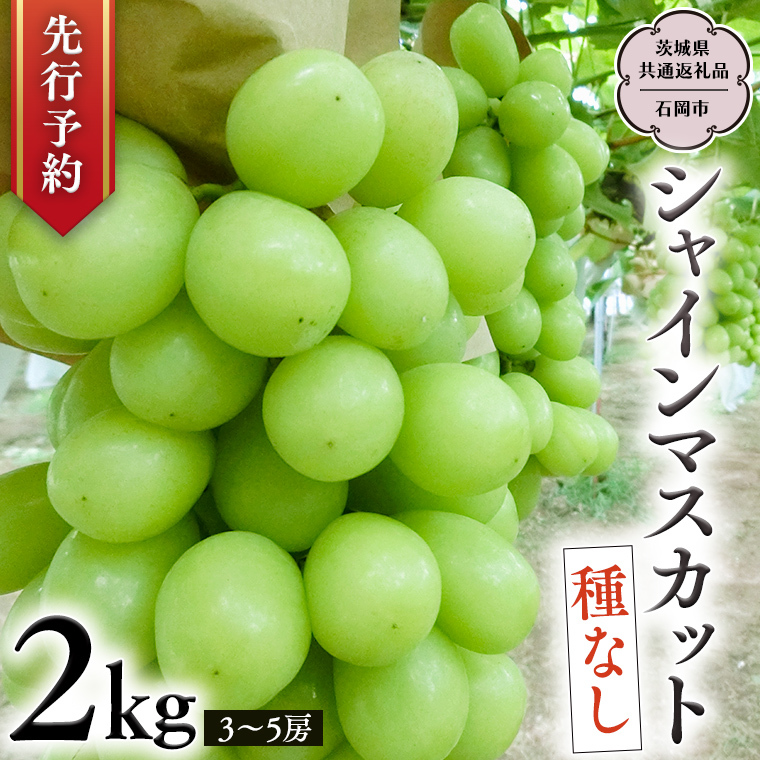 y 2025N9{Jn z VC}XJbg 2kg (錧ʕԗi Ήsj JcԂǂ Yn t[c Â    Mtg Ԃǂ VC}XJbg ʕ [DO005sa]